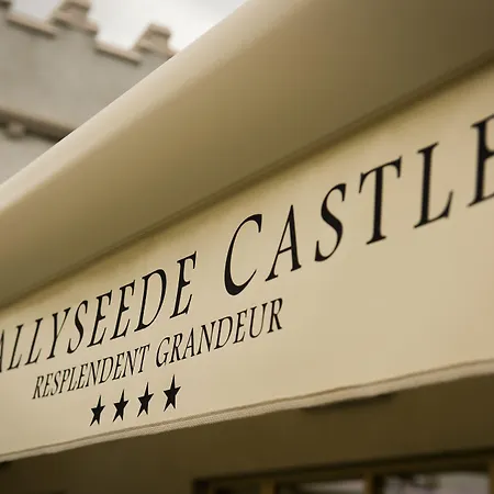 Ballyseede Castle מלון 4*