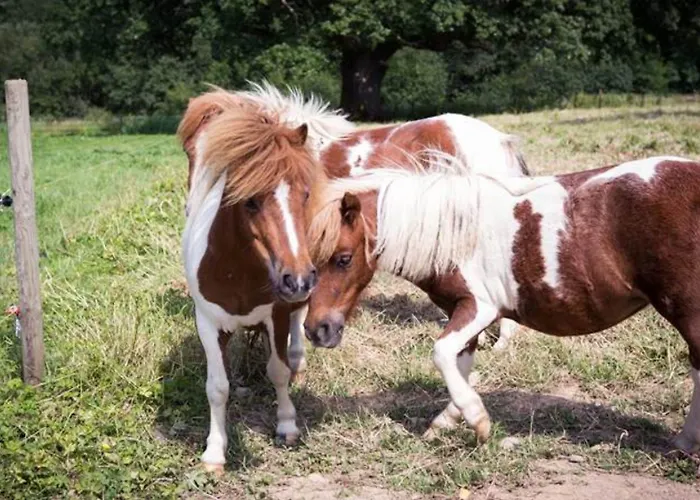 Ballyseede Castle Hotel Trá Lí